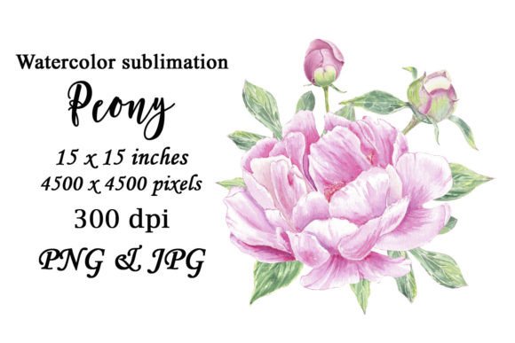 Watercolor Peony Flower Sublimation PNG: A Strategic Asset for Visual Branding