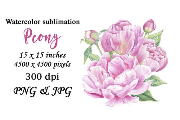 Watercolor Peony Pink Flower Sublimation: A Versatile Asset for Your Creative Projects